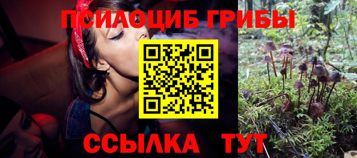 Воткинск  Галлюциногенные грибы Cubensis  Вход с VPN  Псилоцибиновые грибы Cubensis 
